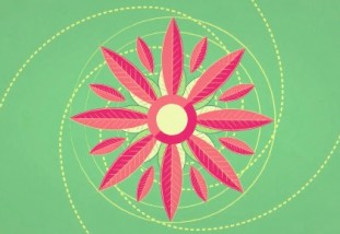 feynmanflower